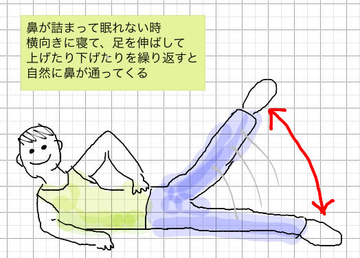 鼻が詰まって眠れないとき ヨヨギ産のブログ