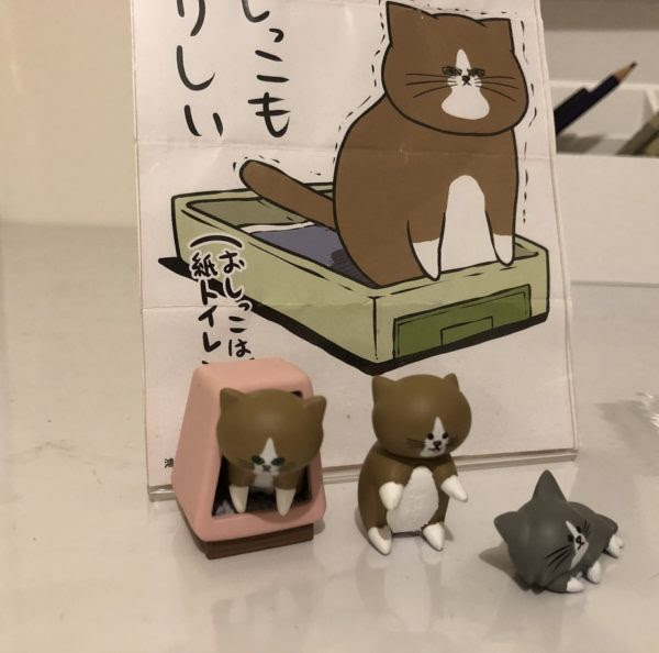 今年初めての本はニャアアアン ３ 大好きな猫マンガとアメリカで本を買う方法 アメリカで猫とのんびり Hi From Ohio