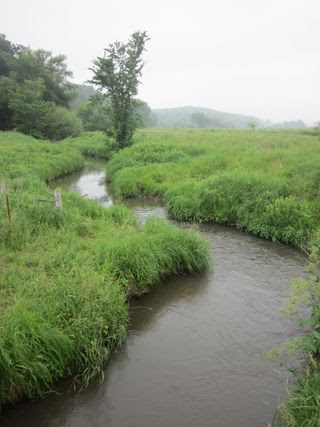 New Glarus 289 (600x800)