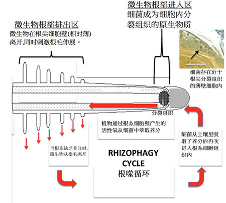光洋生物化學研究所