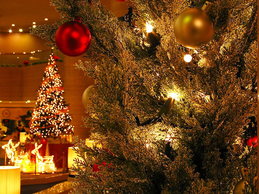 神戸ポートピアホテルクリスマスイルミネーション[壁紙写真集-無料写真素材]