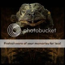 Undead Frog
