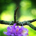 Download Of Good Morning Images : Morning is a magical time if you can plan a day, a week or a.
