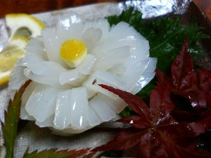 コウイカ 甲烏賊 １ 魚料理と簡単レシピ