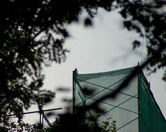 Red-Tailed Hawk atop Cathedral School
