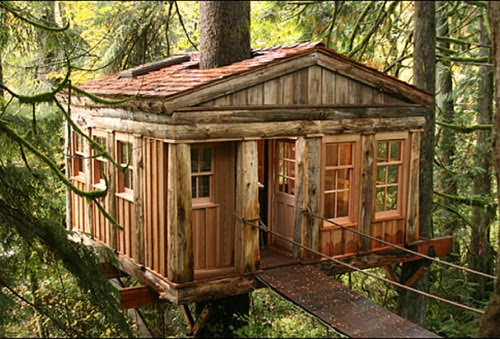 Temple of the Blue Moon Treehouse, Issaquah, Washington