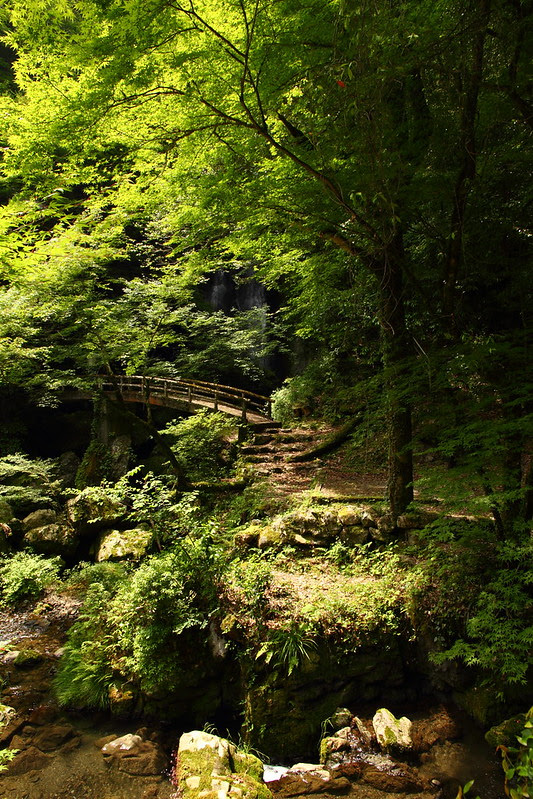 IMG_8011_6-8 Nagasawa Falls