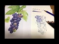 画像 おしゃれ かわいい ぶどう イラスト 241369