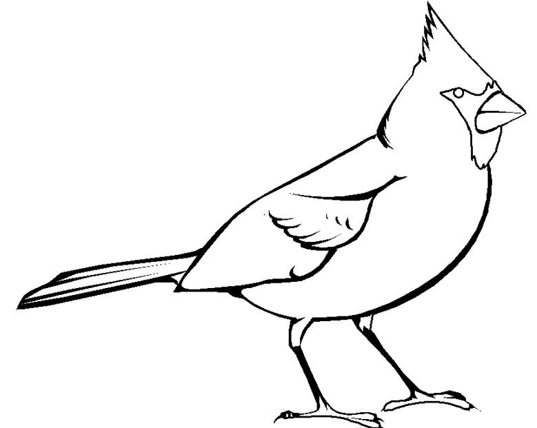 Cartoon Cardinal Bird - Cliparts.co