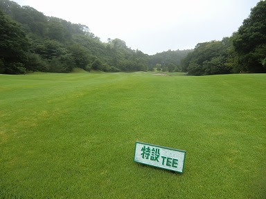 27aresized_062170