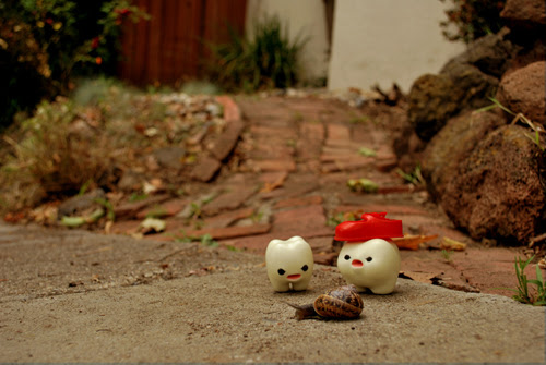 "Hooray, we're home!"