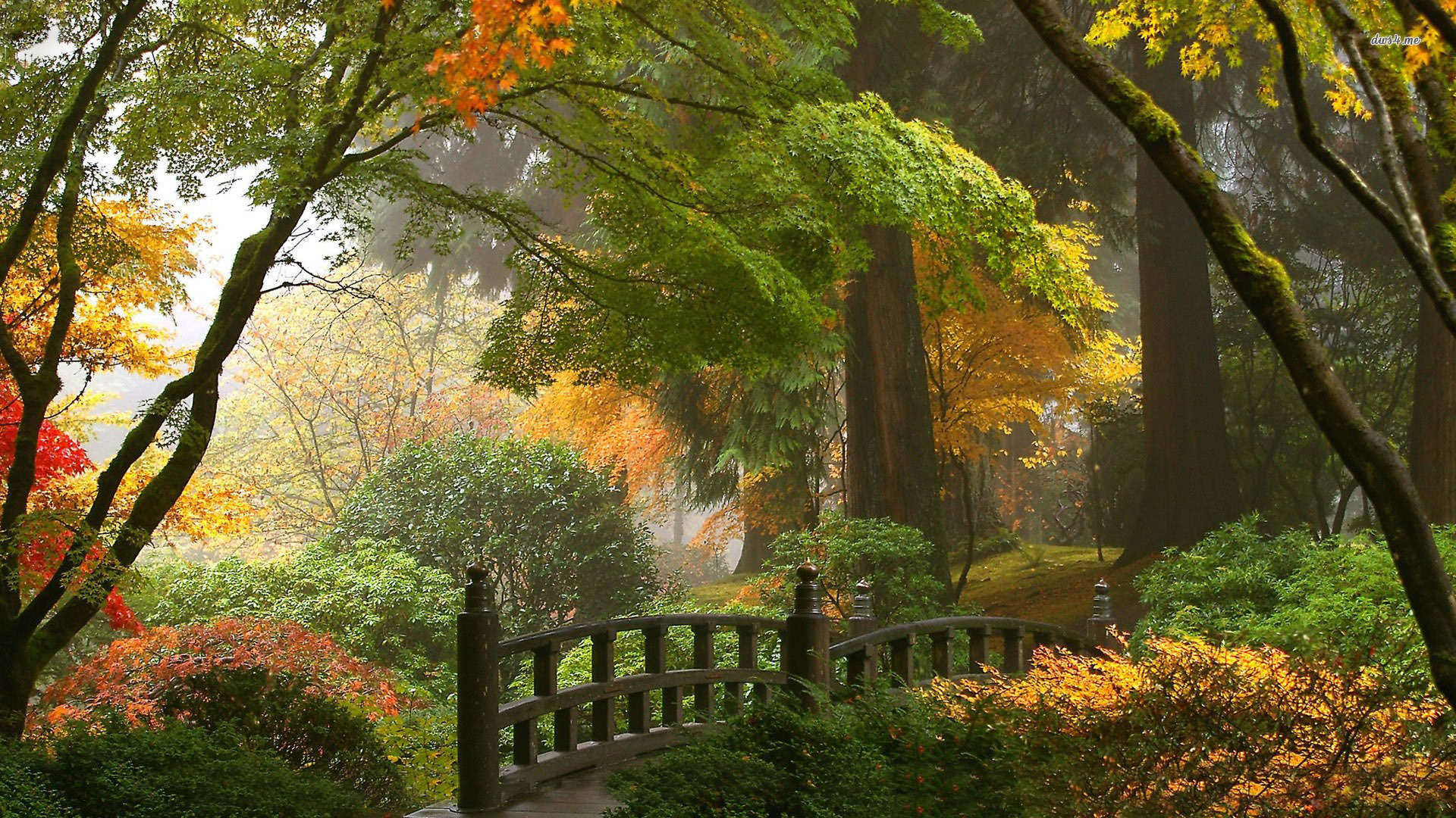 Japanese Garden HD Wallpaper - WallpaperSafari