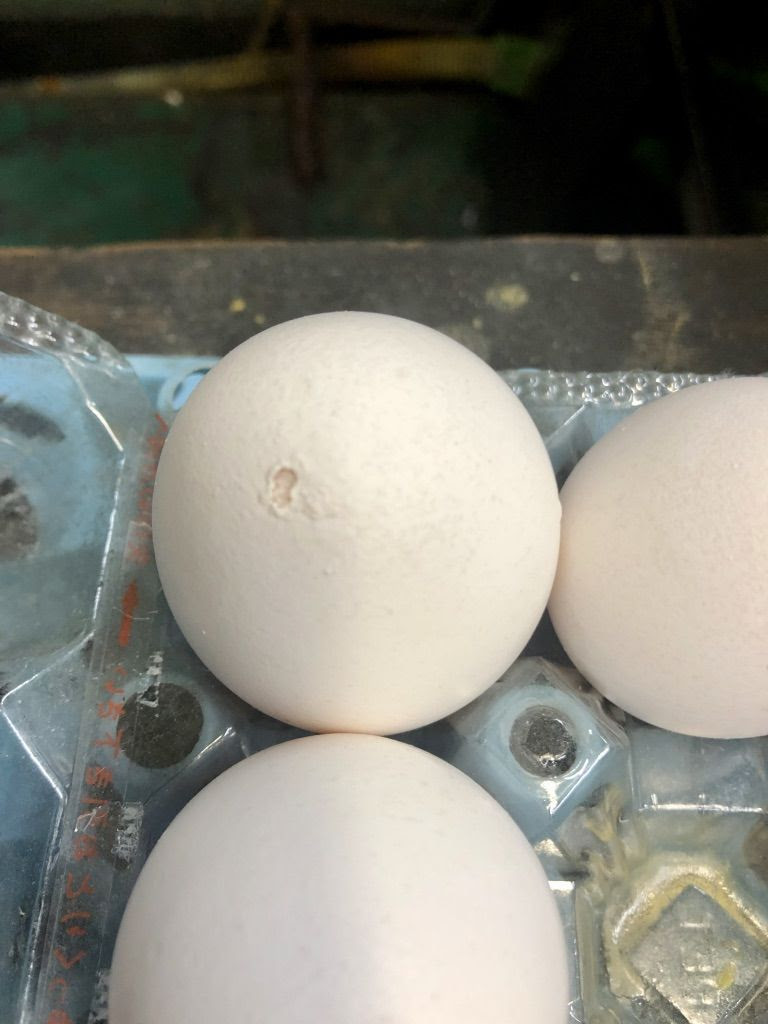 ピンホールができている卵 乱獲形成がうまくできないのが原因らしい 卵 ピンホール 穴 卵殻 醤油と卵の探究をする鬼