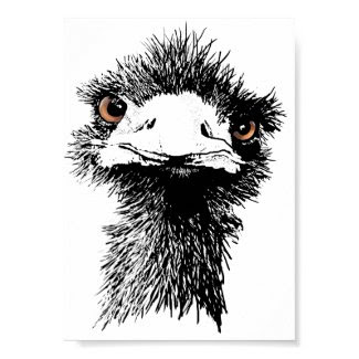 Emu (From $10.55) print