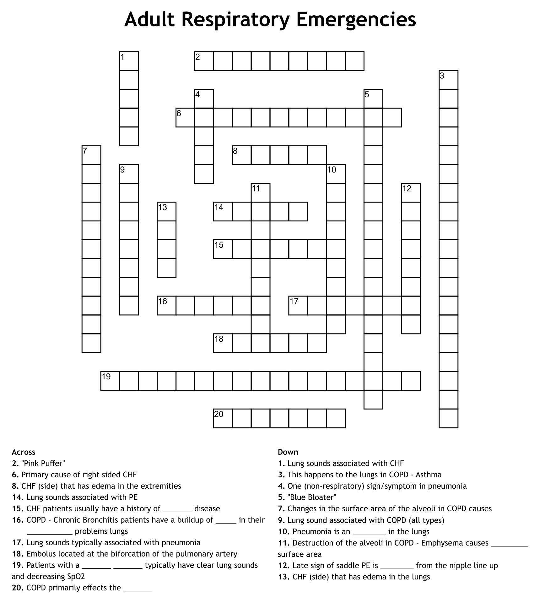 6 Best Images of Sport Crossword Printable - Printable Sports Crossword Puzzles, Easy Sports ...