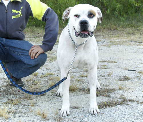 5120_GaleZuckerRTrip1110