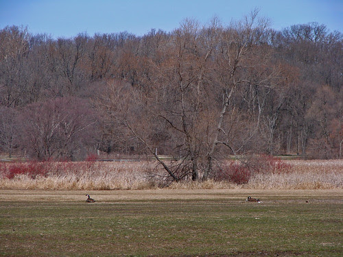 DSC02653_2