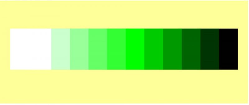 Kombinasi Warna Kombinasi Warna