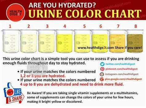  dan taleb urine colour chart