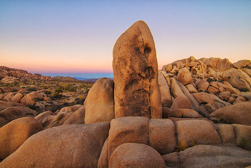 Joshua Tree - National Park in CA