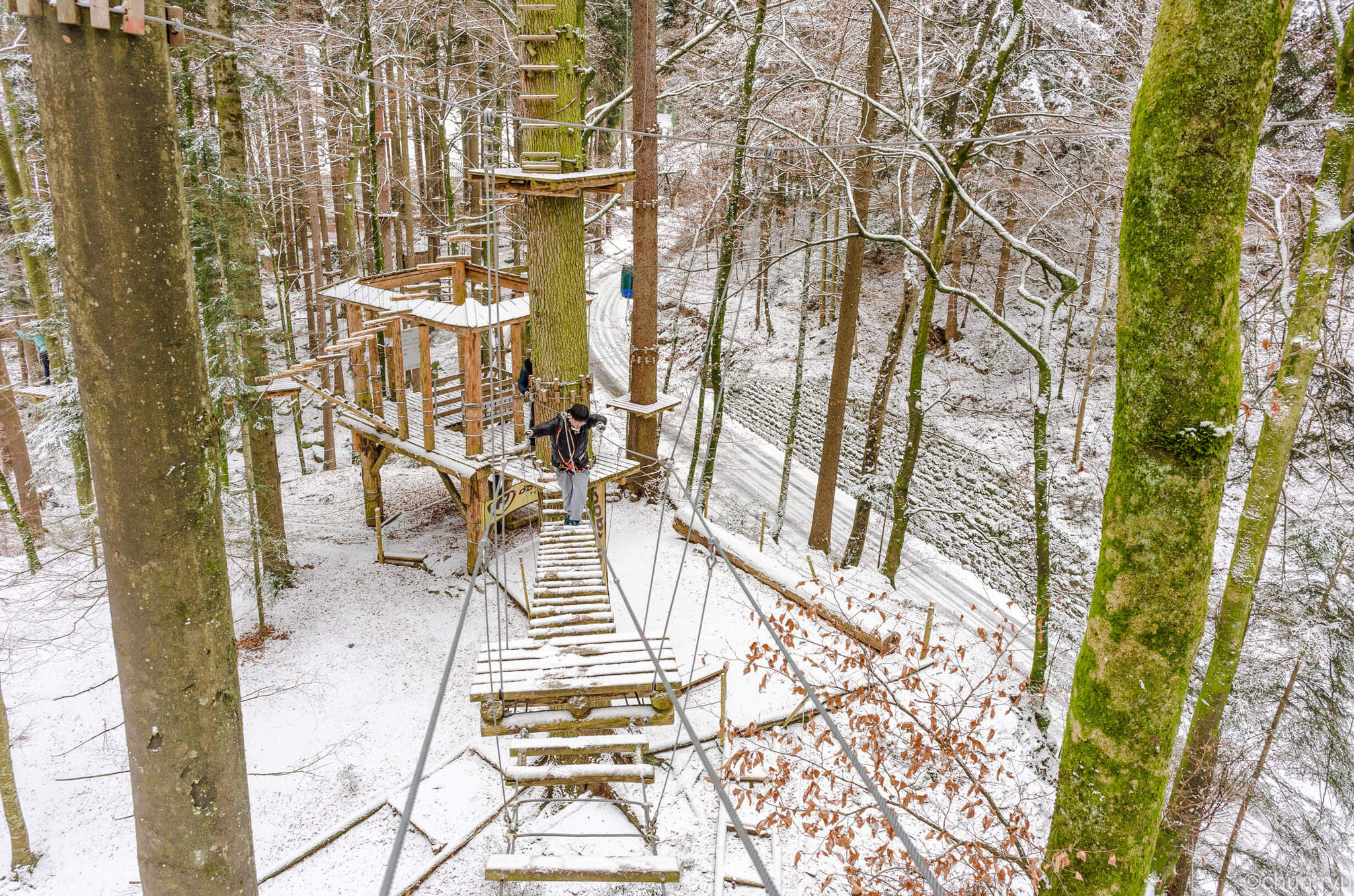 adventure park in Interlaken