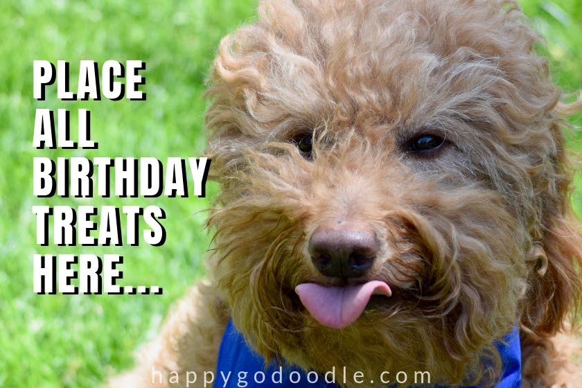 20 Happy Birthday Dog Memes That Will Make Your Barkday Even Brighter Happy Go Doodle