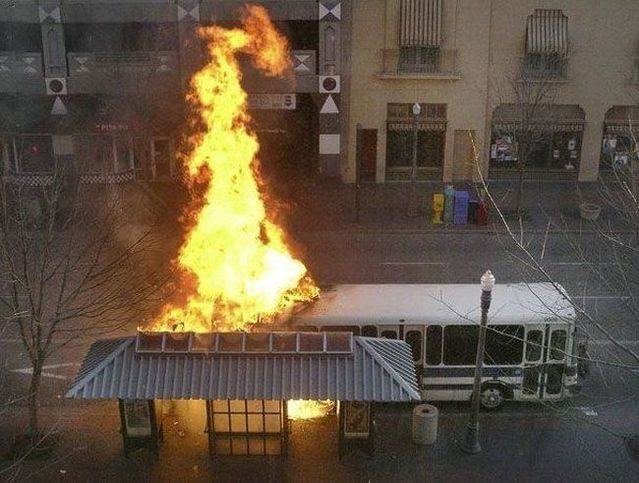 Best Photos by Reuters (95 pics)