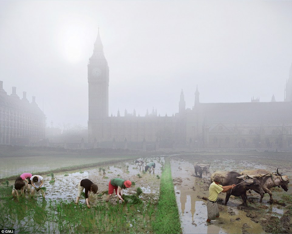 Back to basics: In an exhibition at The Shard skyscraper, visitors will be able to ¿look into the future¿ using interactive ¿tellscopes¿ that juxtapose images from the Museum of London¿s archive stretching all the way back to Roman times, with modern day and 2030 London. This is one of the most whimsical images created showing a paddy field just outside what is the Houses of Parliament