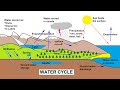 Explain Water Cycle With Diagram For Class 9
