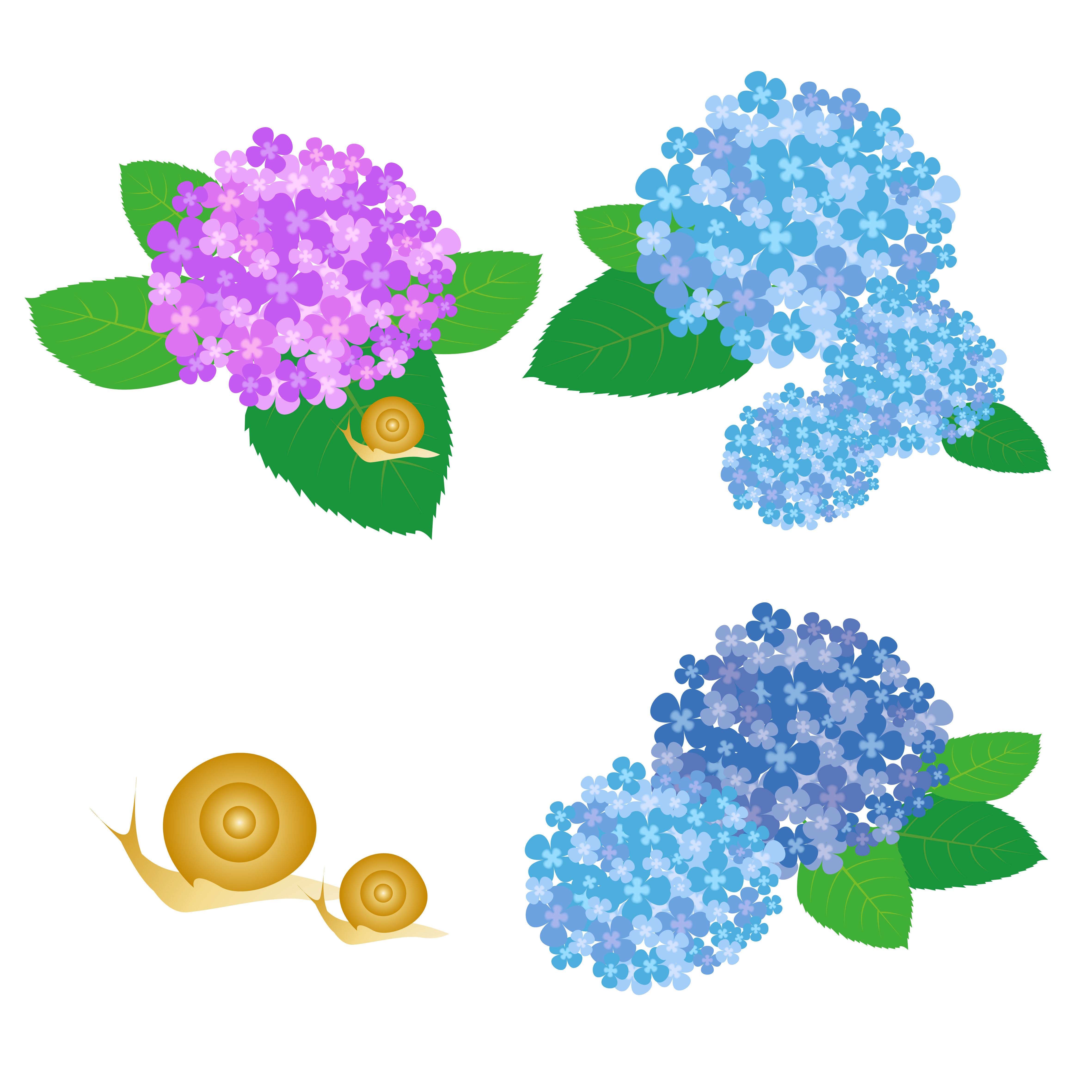 紫陽花の剪定の時期や方法とは 2つの方法で初心者も簡単