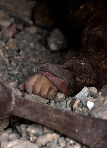 GAZA HOLOCAUST