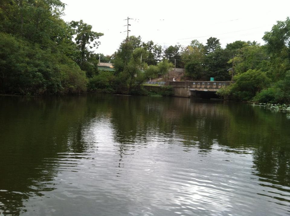Newton Lake Paddle - Collingswood, NJ - South Jersey Trails