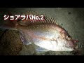 [新しいコレクション] タイラバ ショア 仕掛け 345220-タイラバ ショア 仕掛け