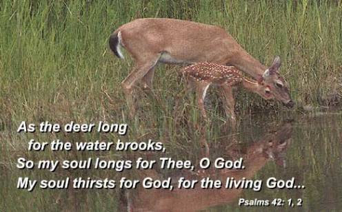 Deerwater