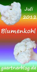 Garten-Koch-Event Juli 2012: Blumenkohl [31.07.2012]