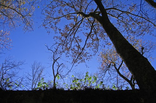 View From Below The Dam