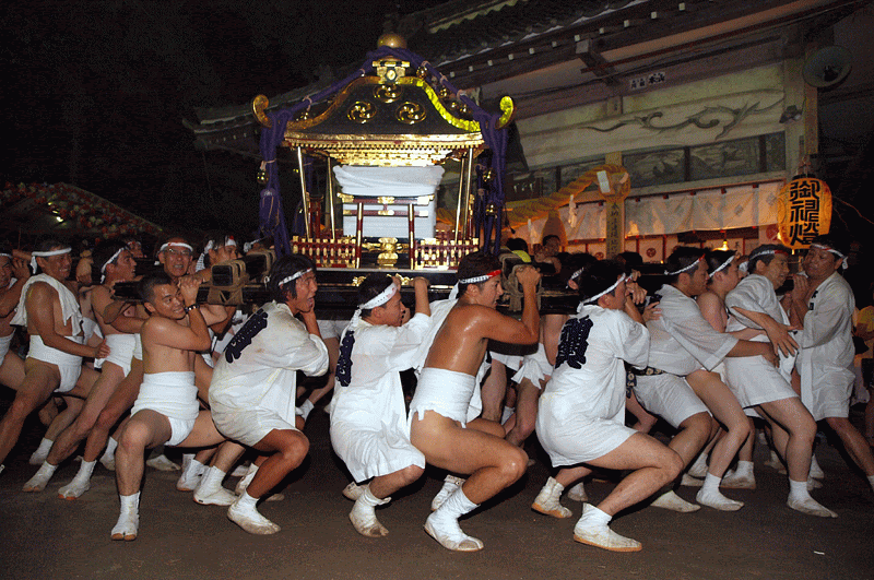 大和田の荒神輿 宮入神輿 和田フォト