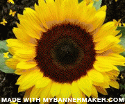 create your own banner at mybannermaker.com!