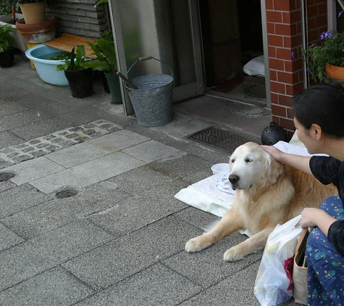Bo-chan and me