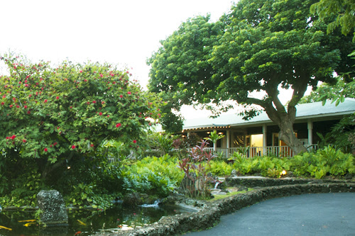 ハワイの植物は地植えできる ハワイアン雑貨 プルメリアやハワイの植物の通販専門店 ラニハワイのブログ