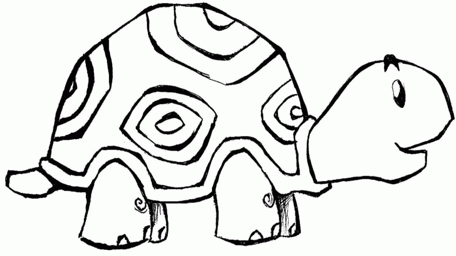 free pictures of sea turtles to color download free clip