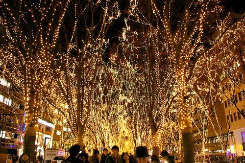 仙台のクリスマス風景 ２００８ フォトギャラリー 記者ブログ 大草 芳江 宮城の新聞