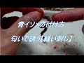 【ベストコレクション】 アオイソメ 生態 119906-アオイソメ 生態
