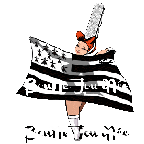 1001 Facons De Porter Le Drapeau Breton Entre Sel Et Mer