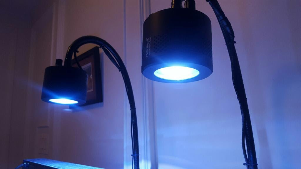 Click image for larger version Name: kessil gooseneck.jpg Views: N/A Size: 34.3 KB ID: 129674