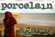 Grab button for Porcelain Agaric