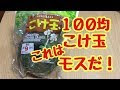 100 均 エビ 隠れ家 自作 273204-100 均 水槽 エビ 隠れ家 自作