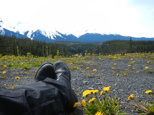 Everyday for 7 Weeks - Day 22 - Dease Lake to Stewart