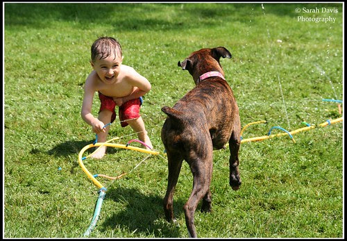 Caden playing with the dog