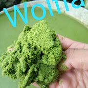 Inspirasi Terpopuler Harga Wolffia